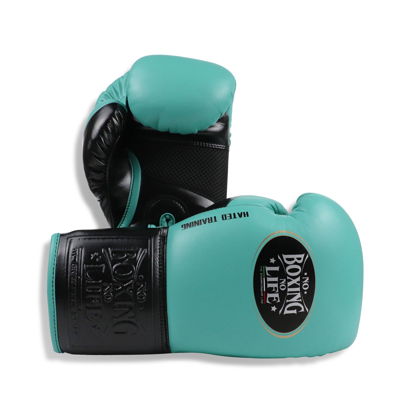 NO BOXING NO LIFE Hated Training Boxing Gloves