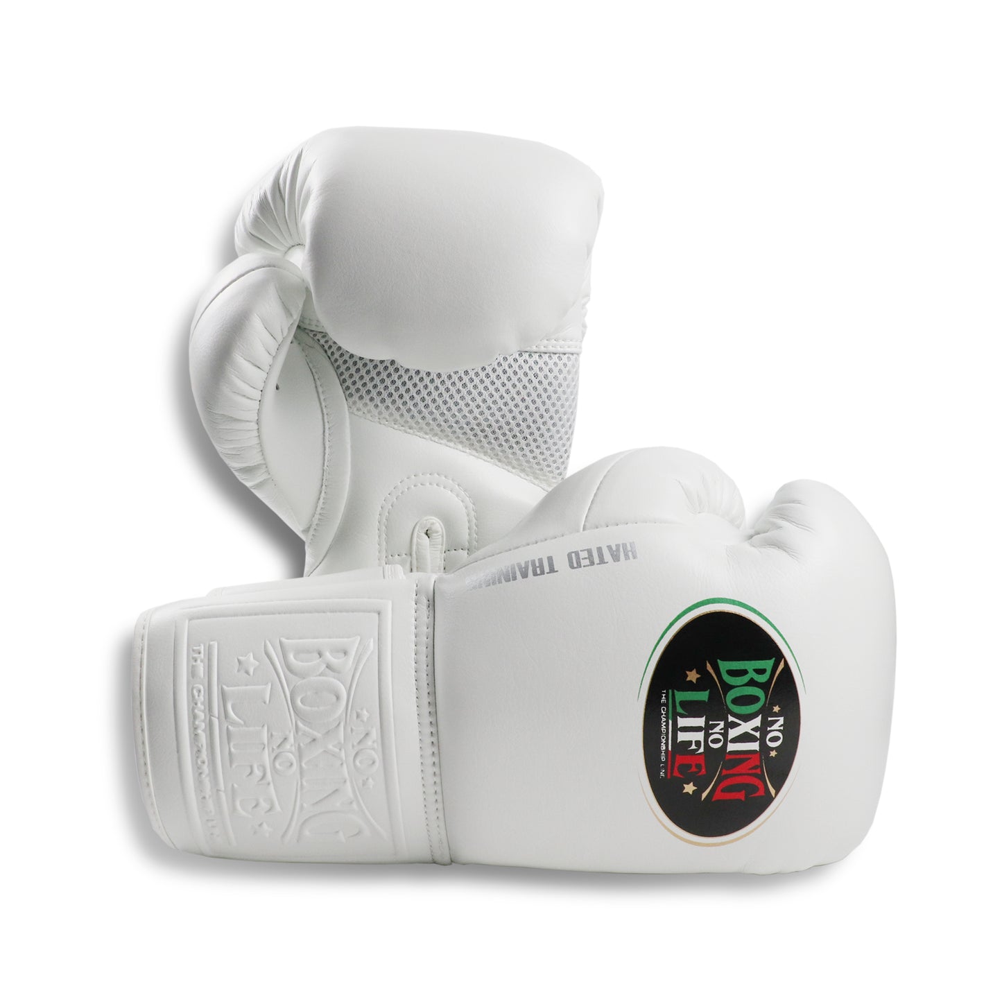 NO BOXING NO LIFE Hated Training Boxing Gloves
