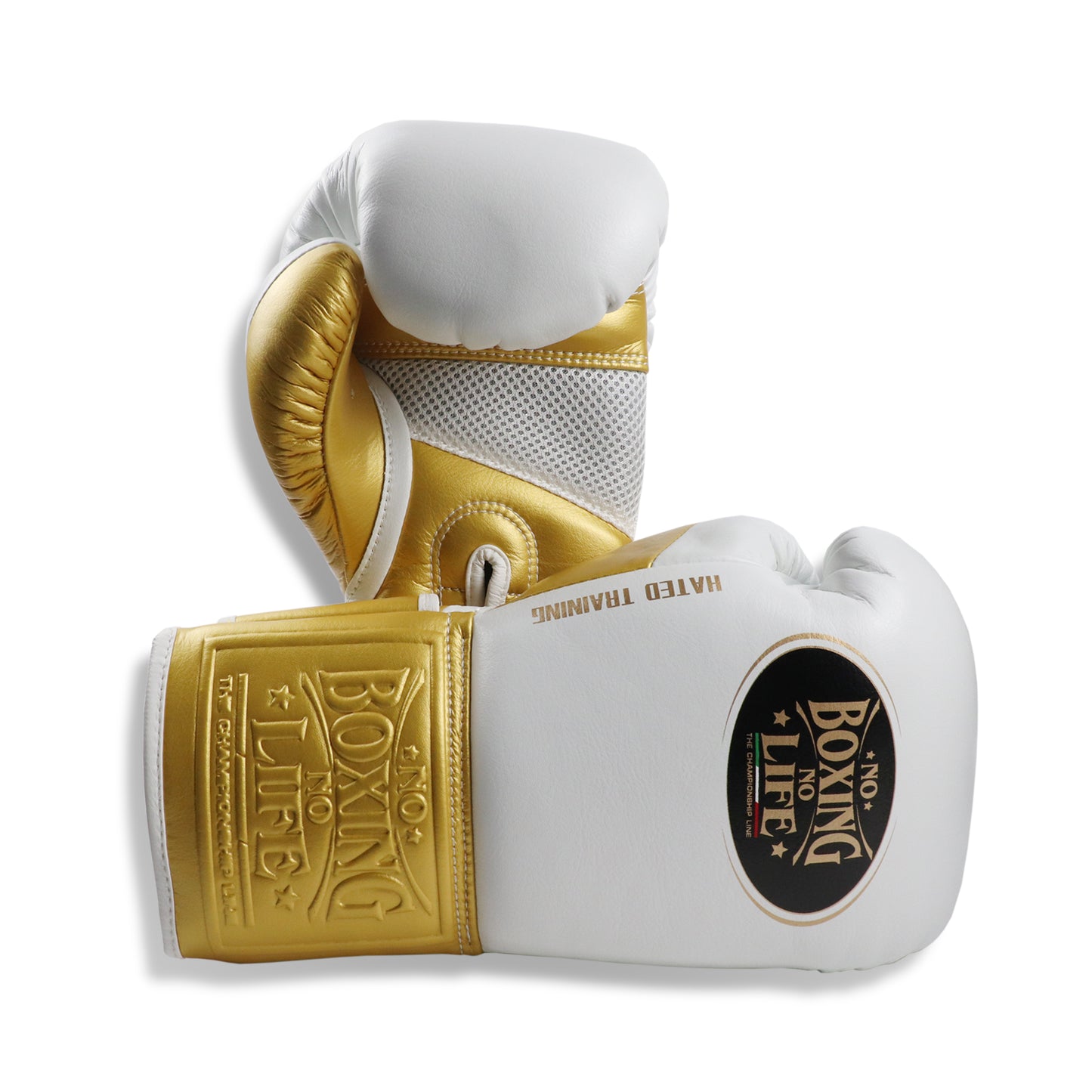 NO BOXING NO LIFE Hated Training Boxing Gloves