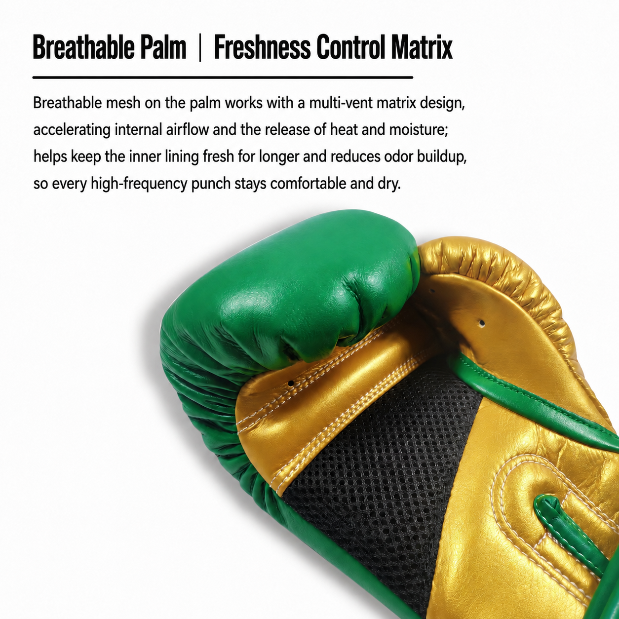 NO BOXING NO LIFE Hated Training Boxing Gloves