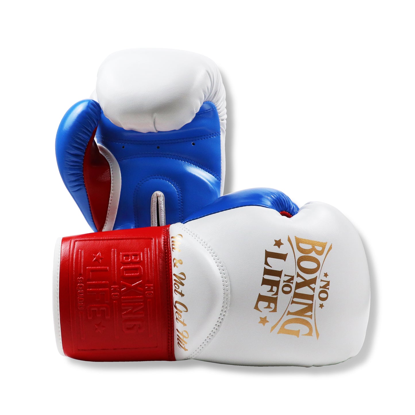 NO BOXING NO LIFE Hit & Not Get Hit Sparring Gloves