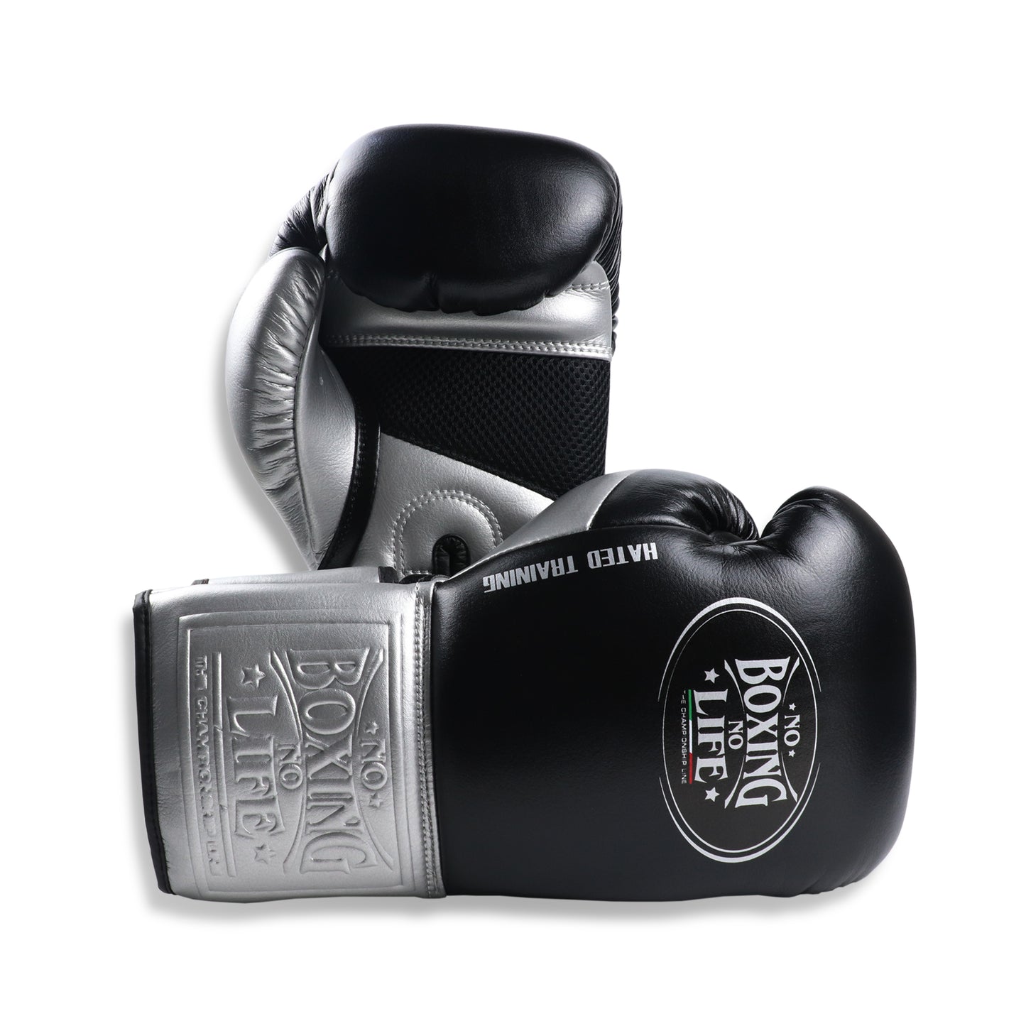 NO BOXING NO LIFE Hated Training Boxing Gloves